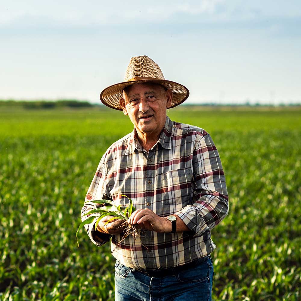 At Franklin State Bank, we’re more than just your local bank—we’re your business partner. Since 1908, we’ve helped small businesses, family farms, nonprofits, and commercial enterprises in Winnsboro and Franklin Parish grow and succeed. Whether you need a reliable checking account, a business loan, or tools to manage your cash flow, our local team is here to help.